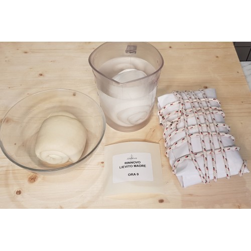 Panettone Artigianale a Lievito Madre