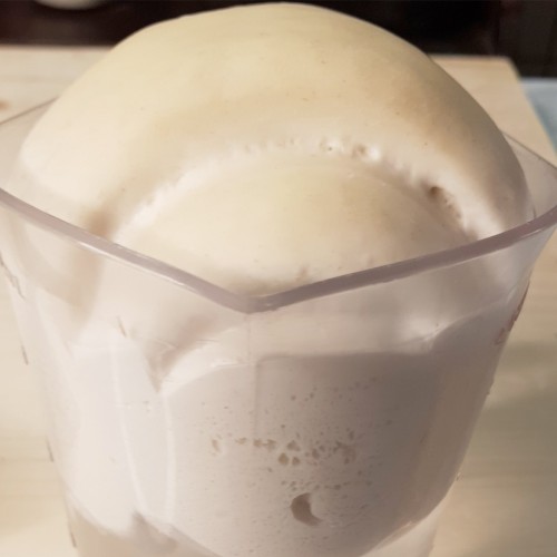 Sourdough Starter, Renewed Daily and Ready to Use | Silvio Bessone