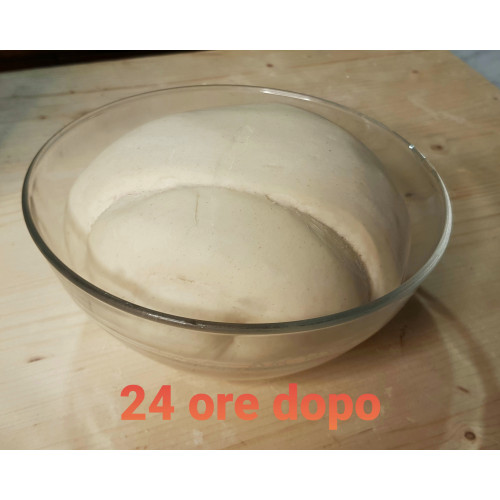 I segreti del Lievito Madre 2026